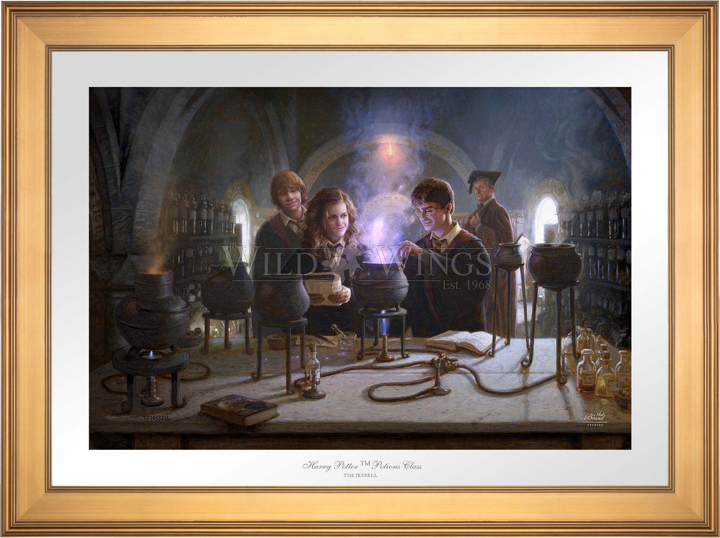 Harry Potter™ Potions Class - Limited Edition Paper