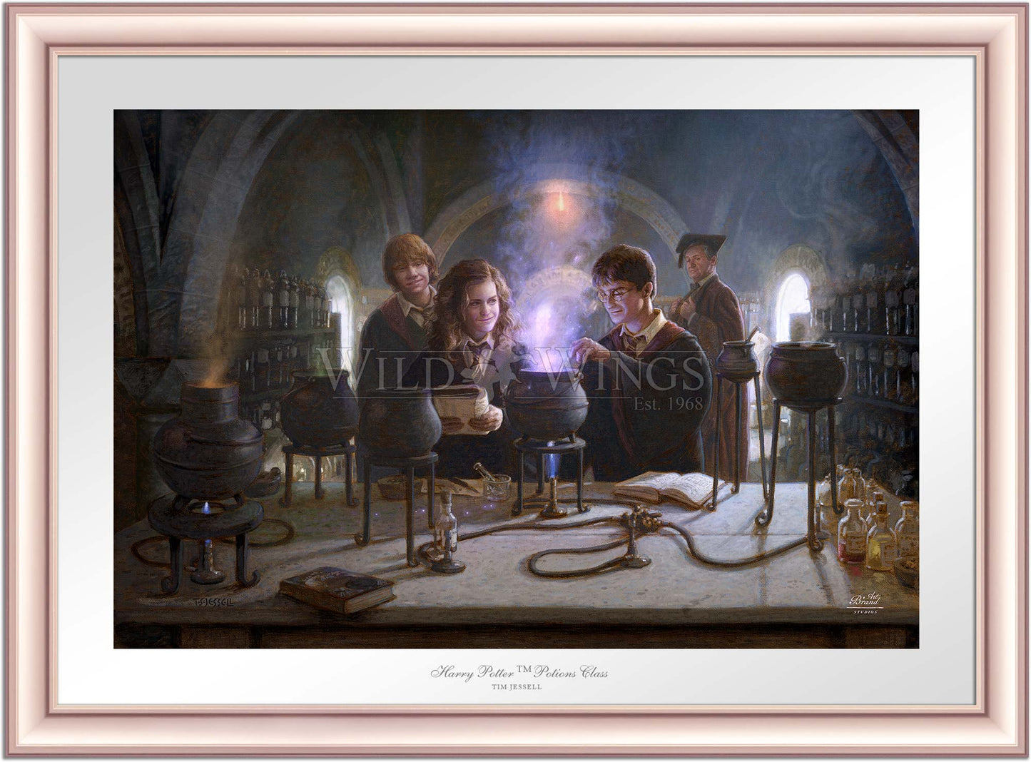 Harry Potter™ Potions Class - Limited Edition Paper