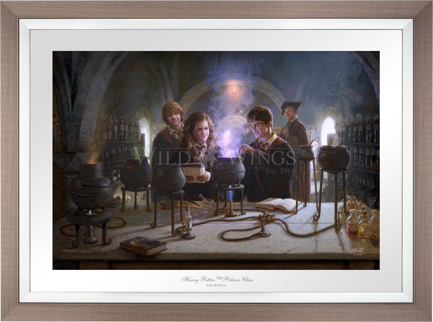Harry Potter™ Potions Class - Limited Edition Paper