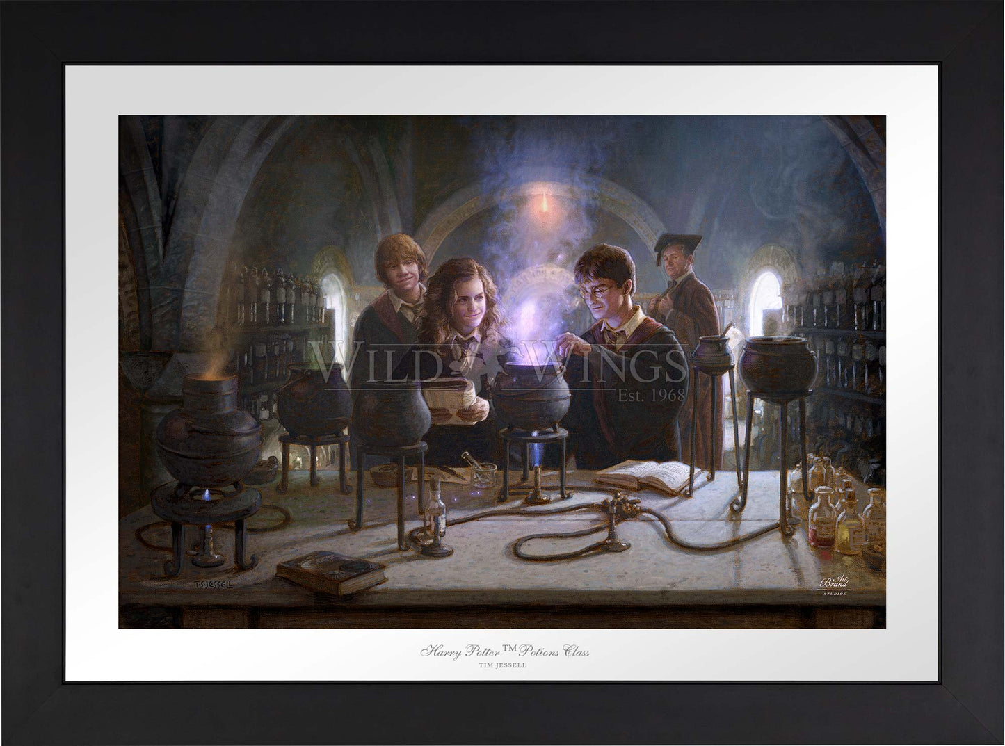 Harry Potter™ Potions Class - Limited Edition Paper