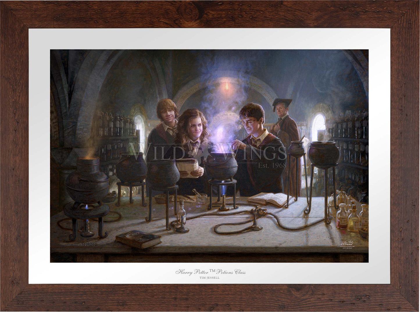 Harry Potter™ Potions Class - Limited Edition Paper