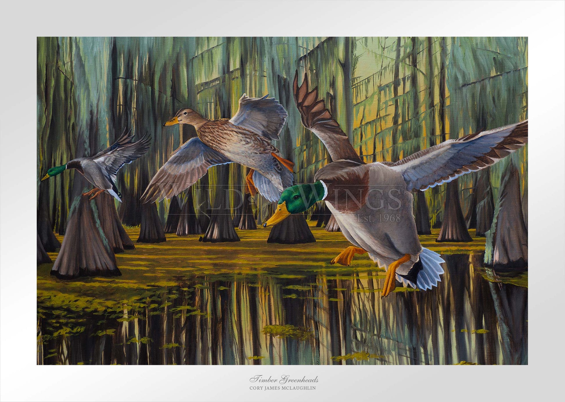A painting of flying birds over the river