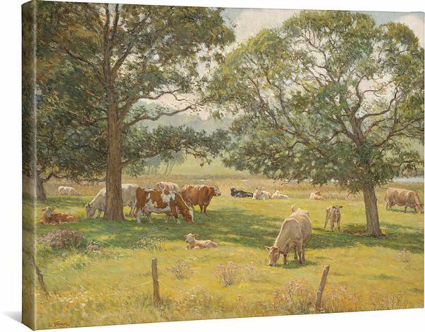 Pastoral - Cows - 19" x 24" Gallery Wrapped Canvas