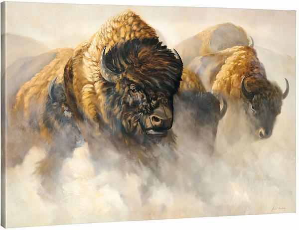 Phantoms of the Plains - Bison - 33.5" x 45.5" Gallery Wrapped Canvas
