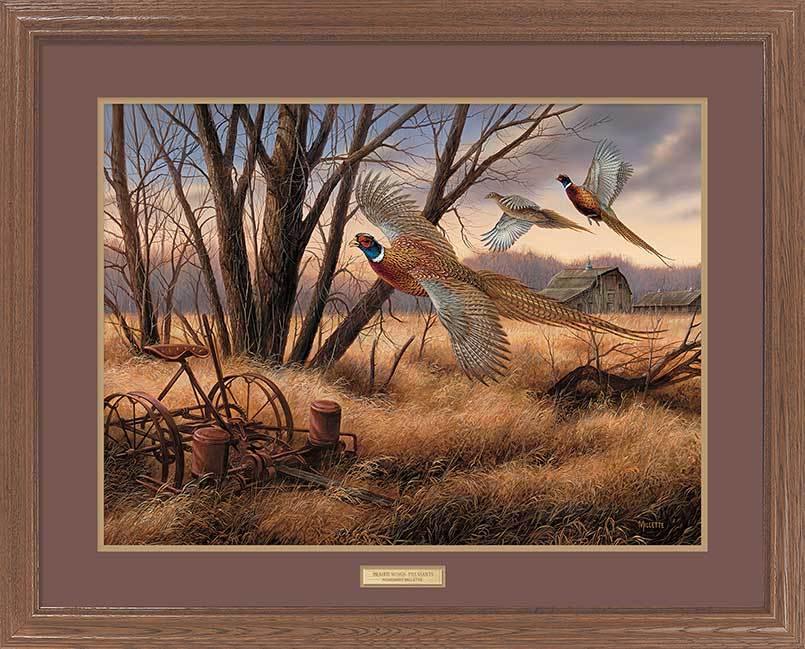 pheasants-framed-art-print-by-rosemary-millette-EPR5934919d_9b0c319d-8ee9-4755-9399-9f8c9ce0a84d.jpg