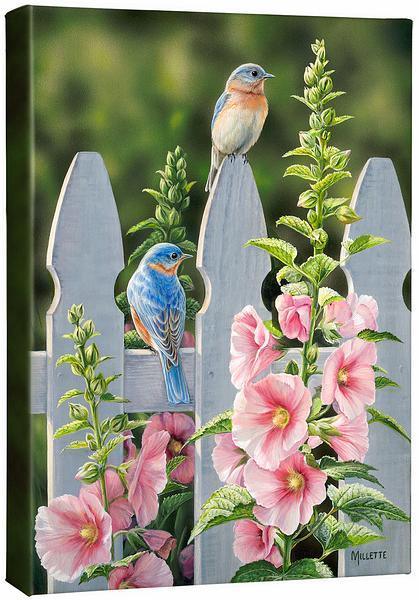 picket-fence-bbwc2millette-F593628038CGW.jpg