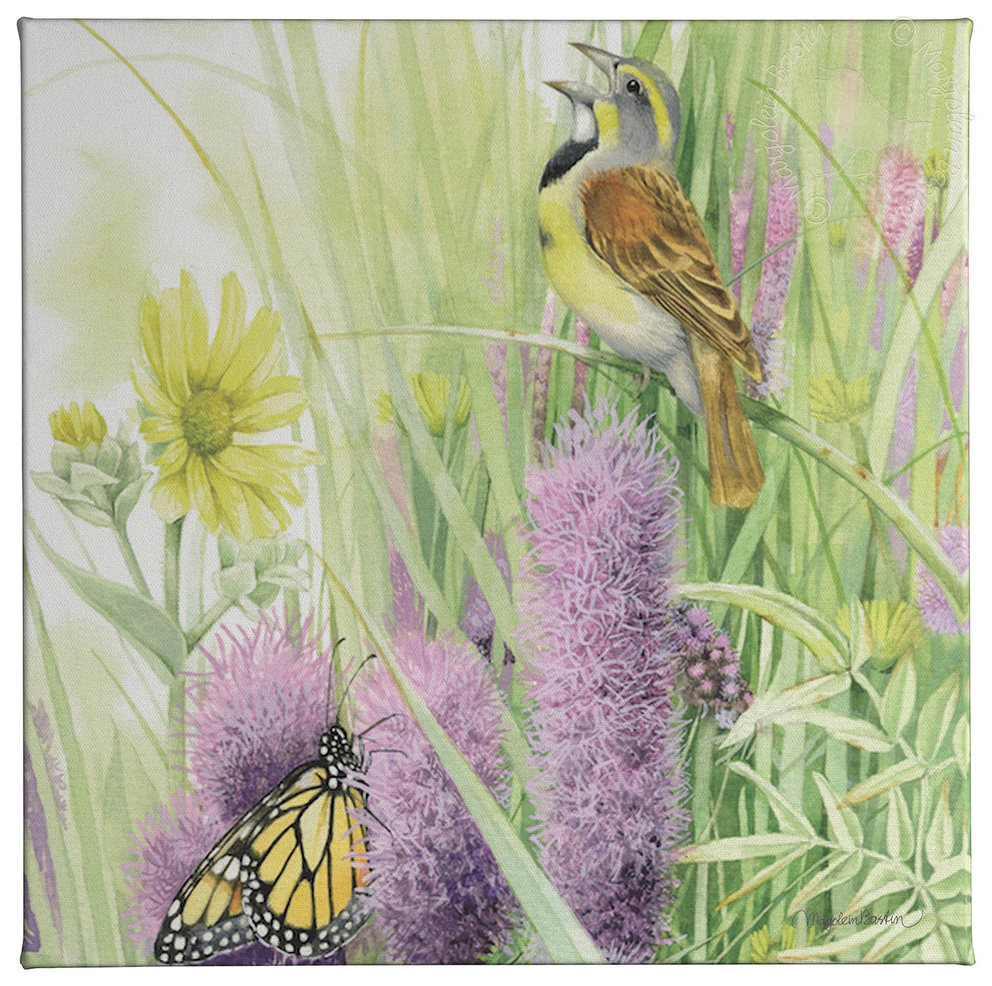 A Prairie Song - 14" x 14" Gallery Wrapped Canvas