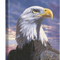 Pride - Bald Eagle - 18" x 13" Gallery Wrapped Canvas