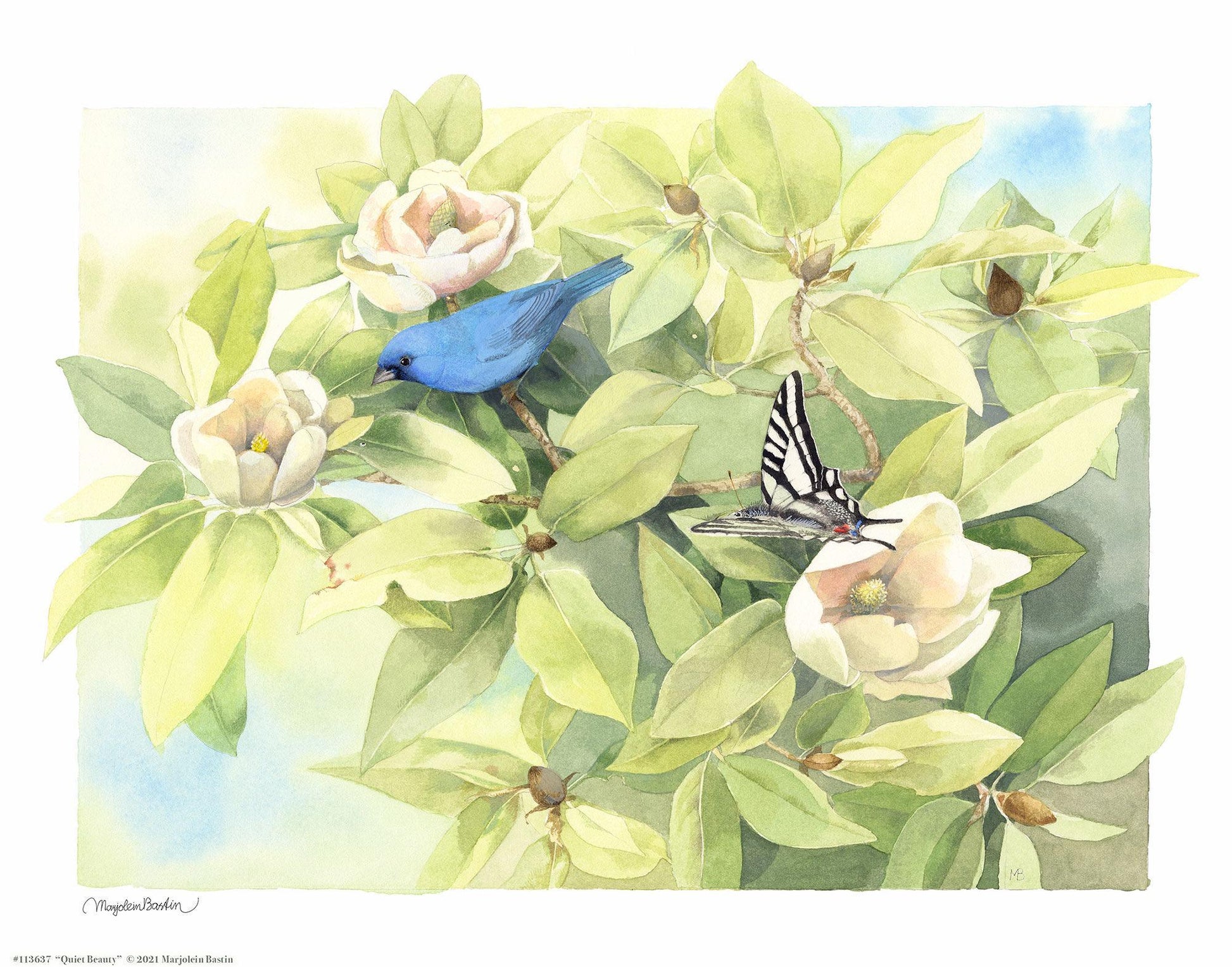 quiet-beauty14x11-apbastin-1058657026.jpg