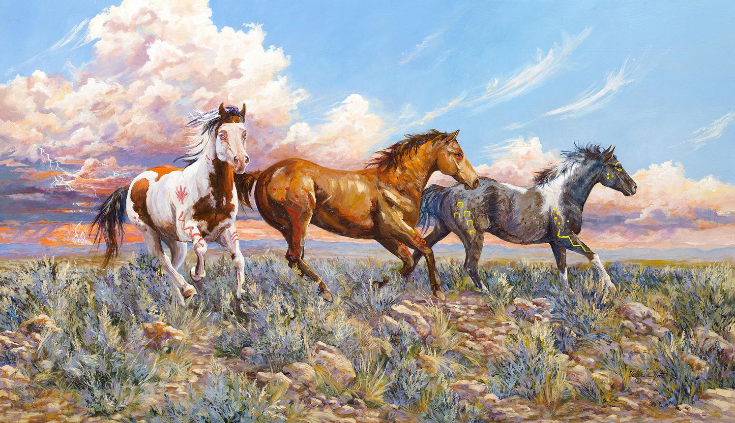 race-the-windyost-1950010381.jpg