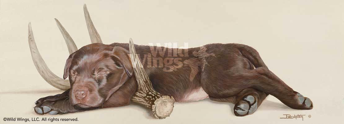 rack-em-up-chocolate-lab-puppy-art-print-by-larry-beckstein-1047702056d_e6f9ec8b-efe0-43ac-8c24-32ffb2b02ea5.jpg
