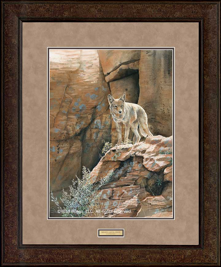 red-rock-canyon-coyote-by-susan-bourdet-ELT1098571dd.jpg