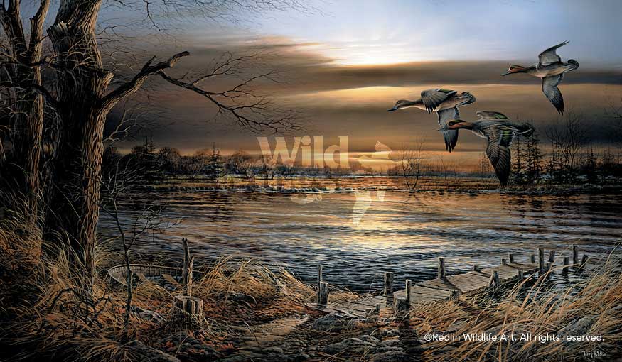 reflections-by-terry-redlin-1701445089d.jpg