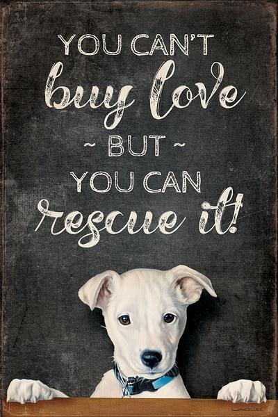 You Can't Buy Love - Dog - 12" x 18" Wood Sign