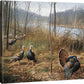 River's Edge Courtship - Turkeys - 16" x 20.5" Gallery Wrapped Canvas