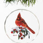 Winter Gems - Cardinal