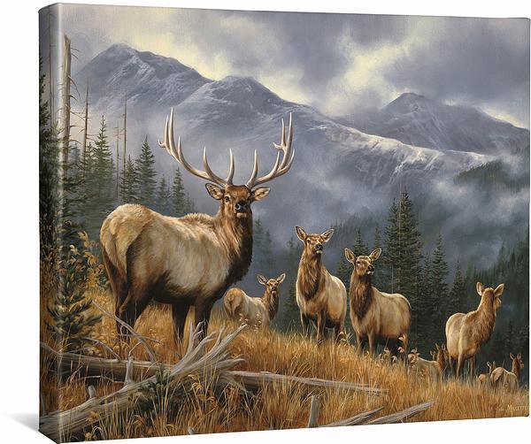 Royal Mist - Elk - 16" x 20.5" Gallery Wrapped Canvas