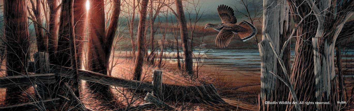 ruffed-grouse-art-print-sunlit-trail-horizon-by-terry-redlin-1701539589d.jpg