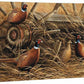 Rustic Retreat - Pheasants - 18" x 36" Gallery Wrapped Canvas