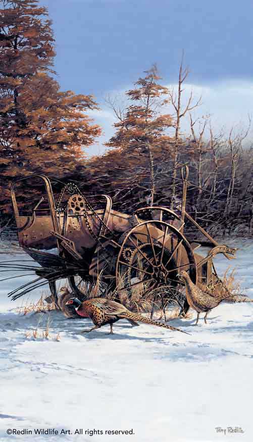 rusty-refuge-1-pheasants-by-terry-redlin-1701447089d.jpg