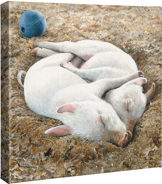 Sawdust Cradle - Baby Pigs - 14" x 14" Gallery Wrapped Canvas