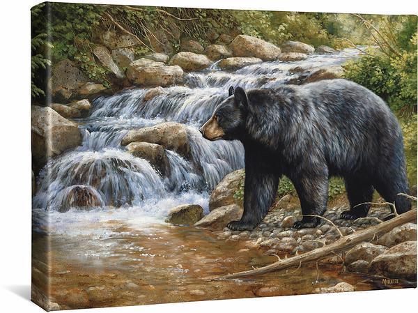 Shadow of the Forest—Black Bear - 13" x 18" Gallery Wrapped Canvas