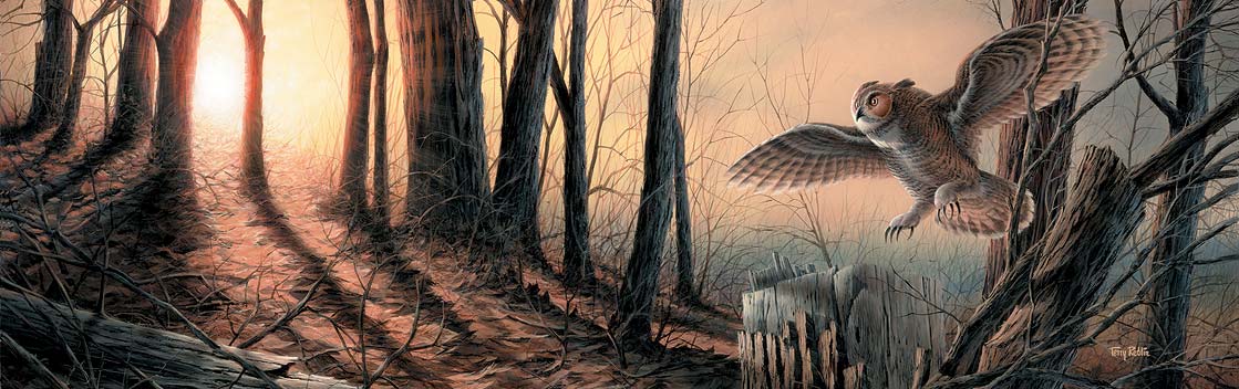 silent-flight-owl-terry-redlin-1701483889d.jpg