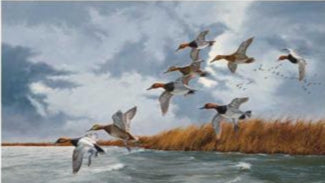 silver-bullets-canvasbacks-framed-signed-print-david-a-maass-F540707507.jpg