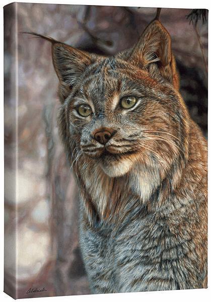 Snow Queen - Lynx - 18" x 13" Gallery Wrapped Canvas