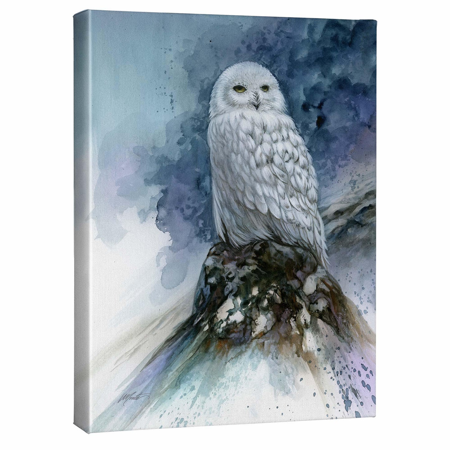 Snow Storm - 20.5" x 16" Gallery Wrapped Canvas