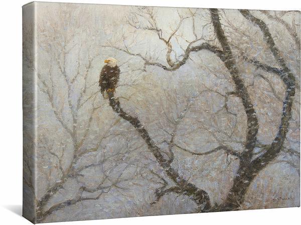 Snowstorm - Bald Eagle - 13" x 18" Gallery Wrapped Canvas