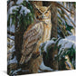 Snowy Perch-Great Horned Owl - 14" x 14" Gallery Wrapped Canvas