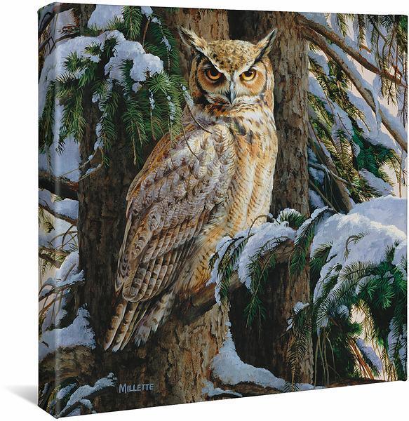 Snowy Perch-Great Horned Owl - 14" x 14" Gallery Wrapped Canvas