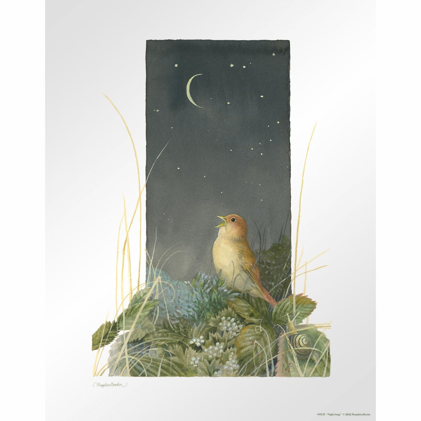 song-of-the-nightingale14x11-apbastin-1058702549.jpg