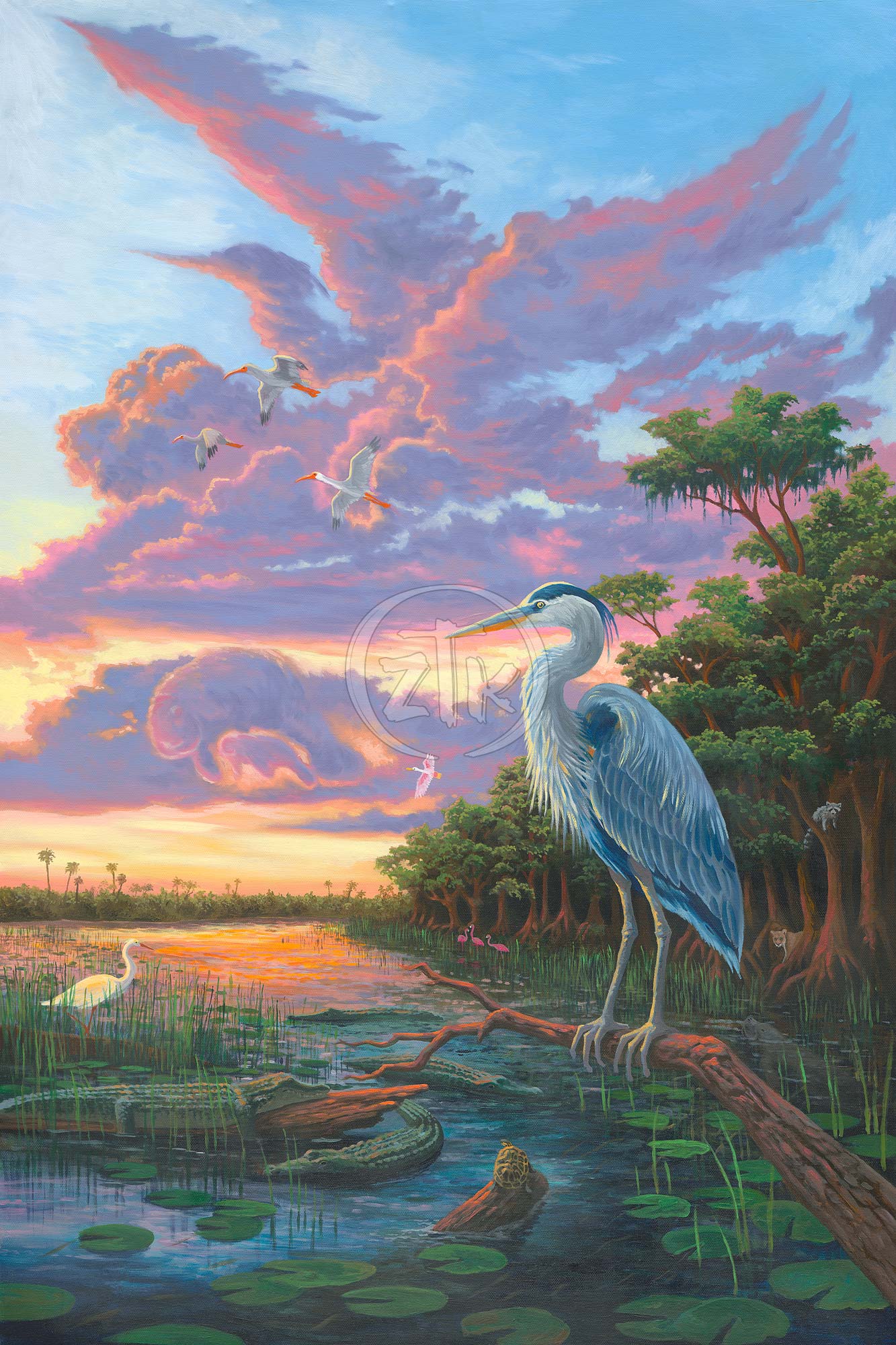 Spirit of the Everglades - Limited Edition Canvas
