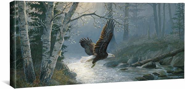 spring-run-bald-eagle-gallery-wrapped-canvas-persis-clayton-weirs-F925704232CGW_f9e36b50-aba9-454c-9e64-36046547f7a1.jpg