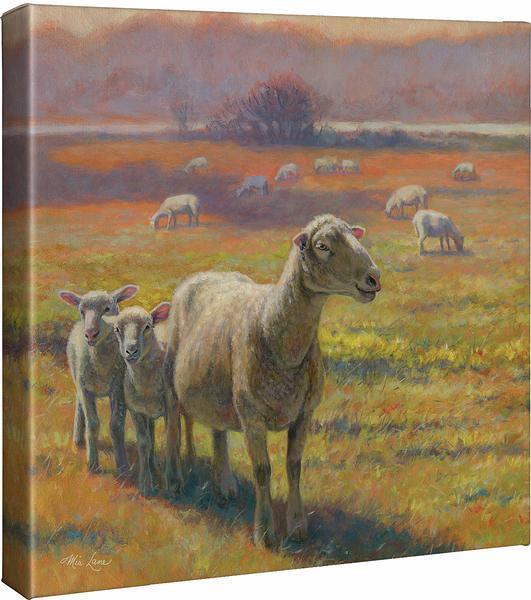 Standoff—Sheep - 14" x 14" Gallery Wrapped Canvas