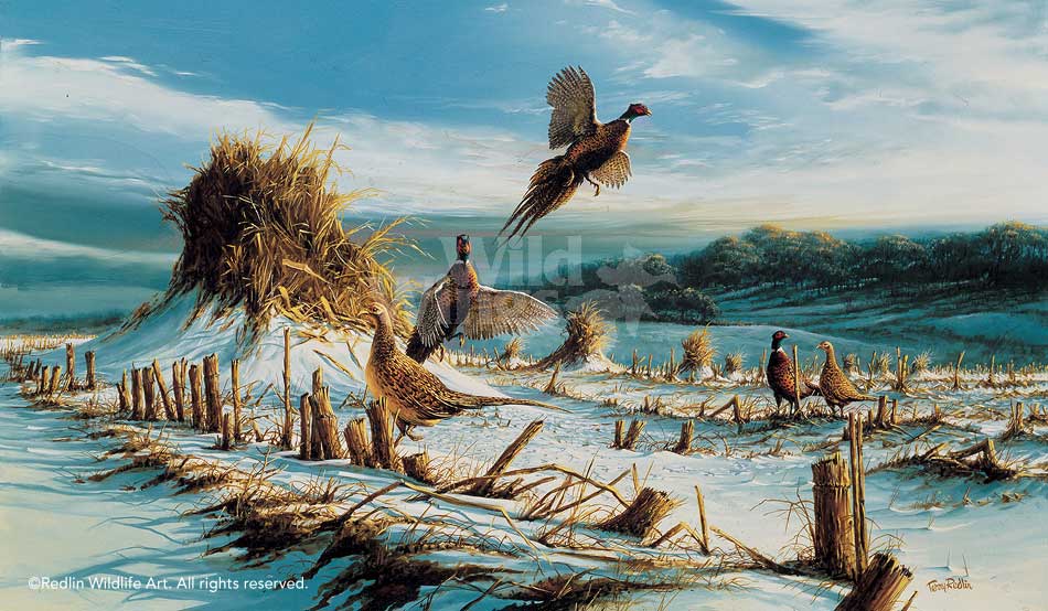 startled-pheasants-art-print-by-terry-redlin-1701522089d.jpg
