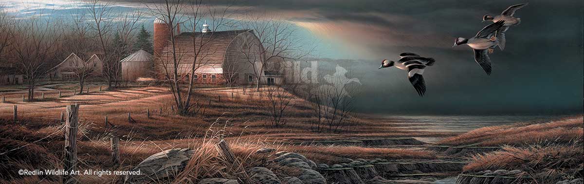 stormy-weather-bufflehead-ducks-art-print-by-terry-redlin-1701522789d.jpg