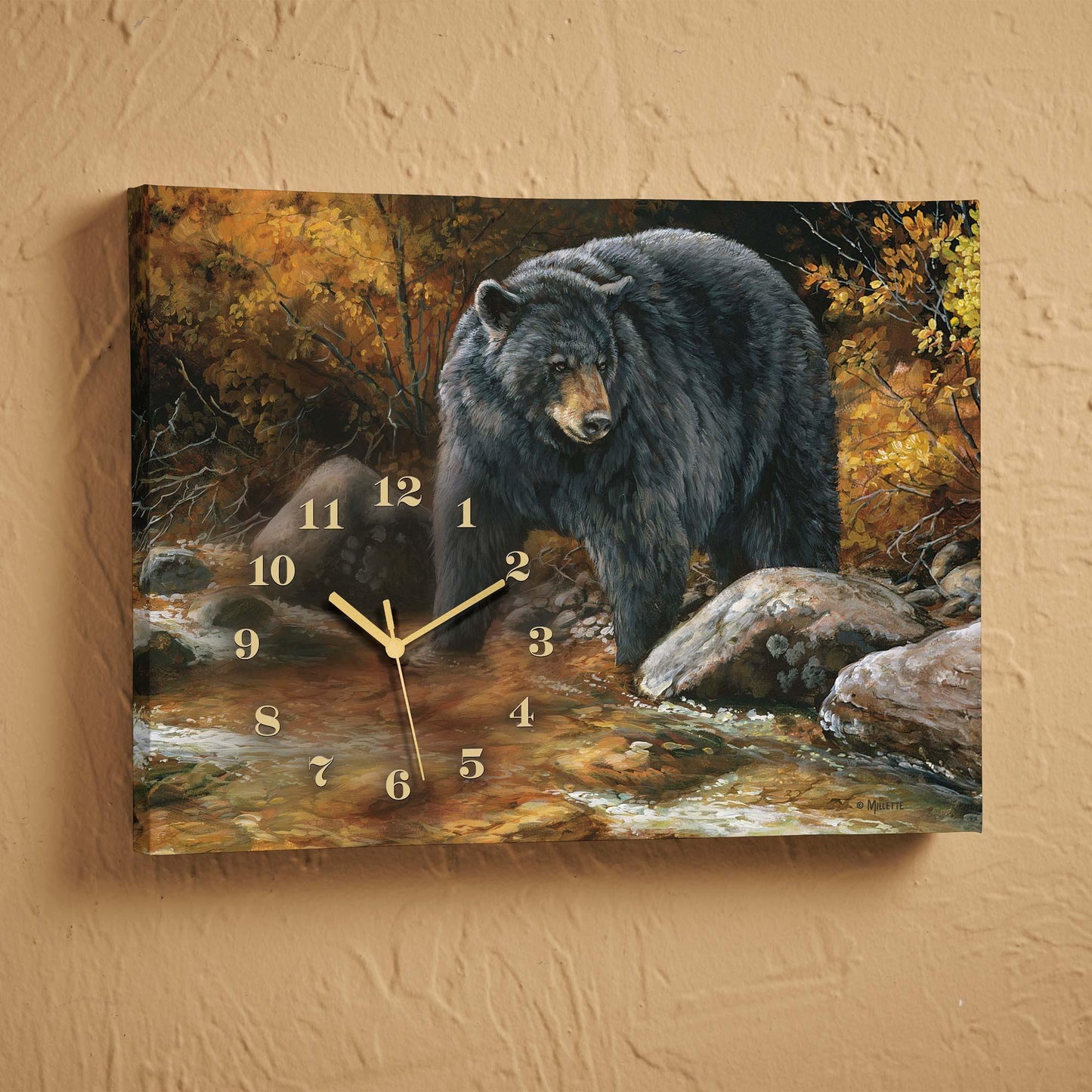 Streamside Bear