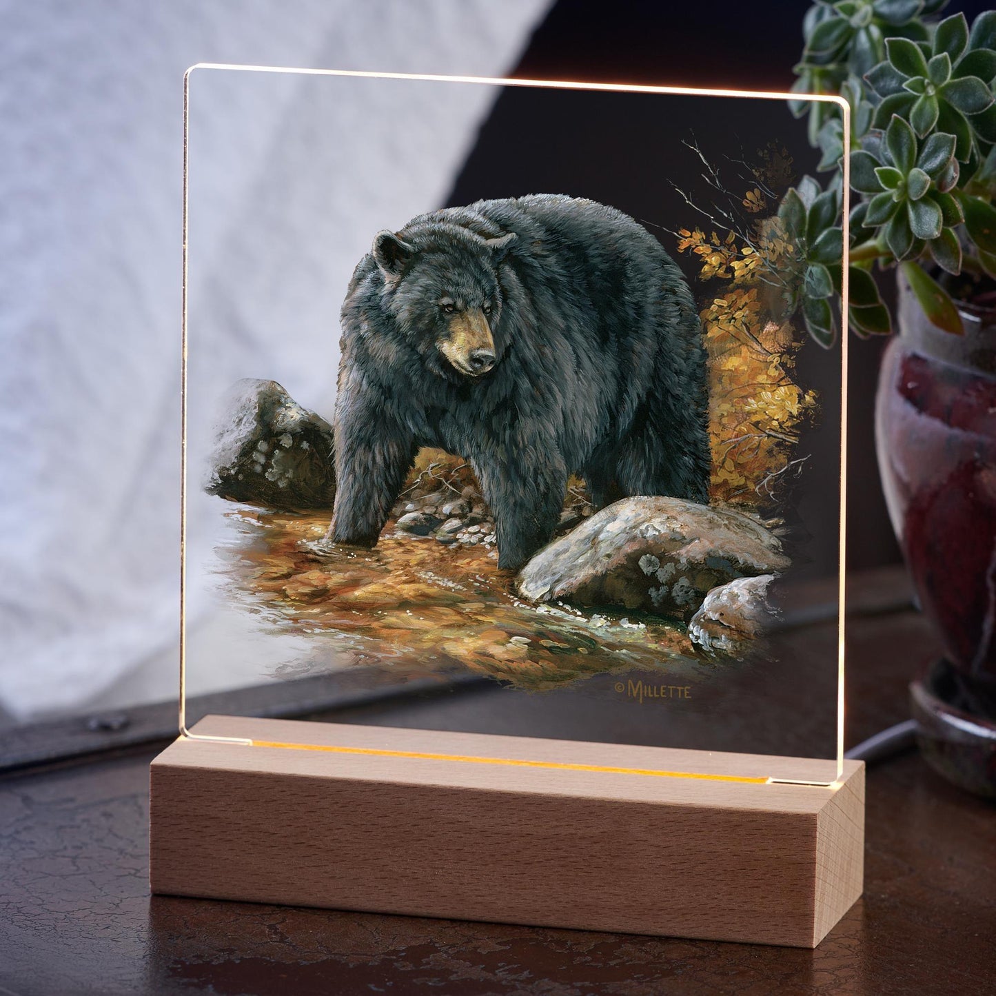 Streamside—Black Bear - Acrylic Night Light