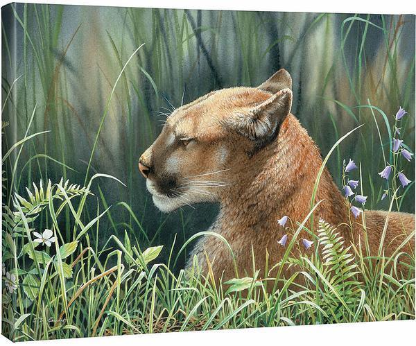 Sunlight Siesta - Cougar - 19" x 24" Gallery Wrapped Canvas