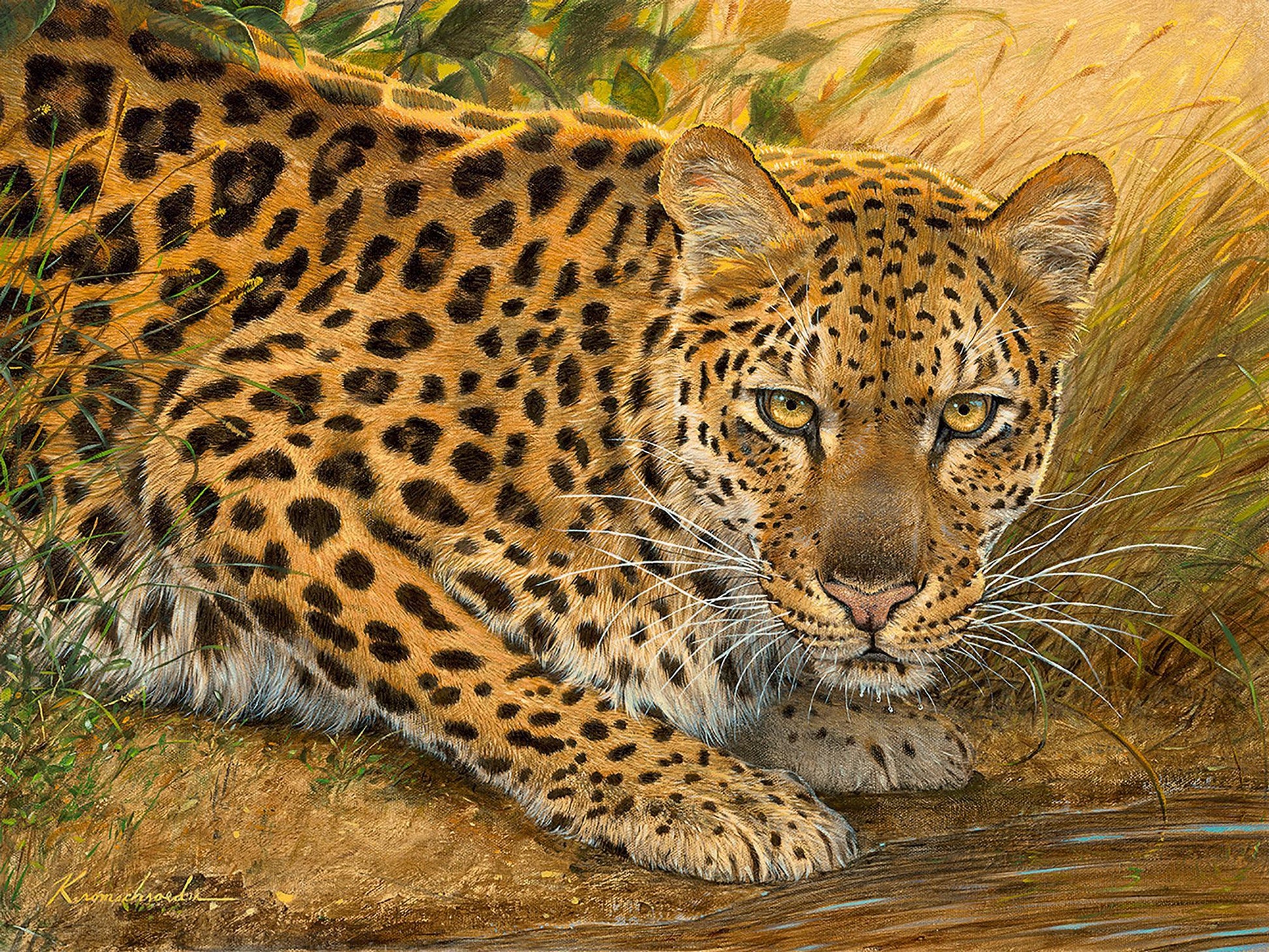 sunrise-at-the-water-leopardcanvkromschroe-1476729073.jpg