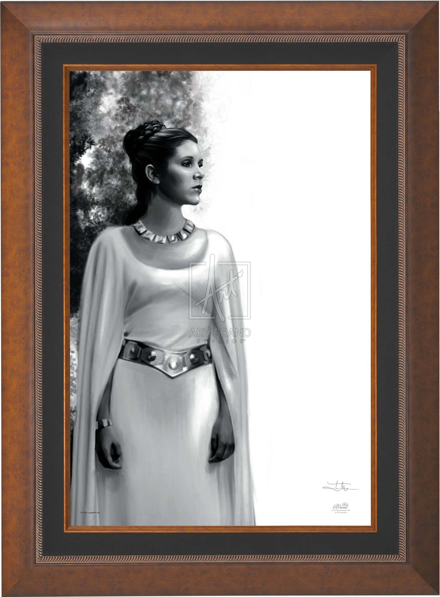 The Daughter - Star Wars: A New Hope™ - Jewel Edition