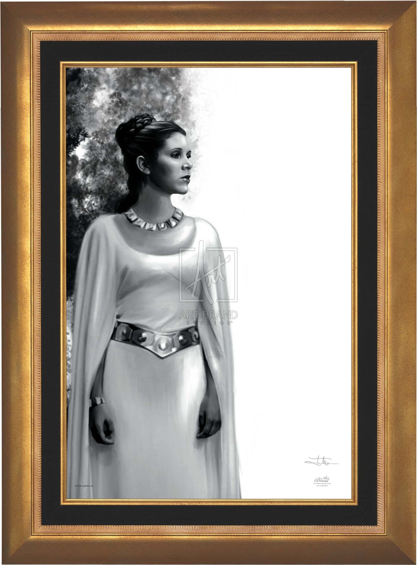 The Daughter - Star Wars: A New Hope™ - Limited Edition Canvas
