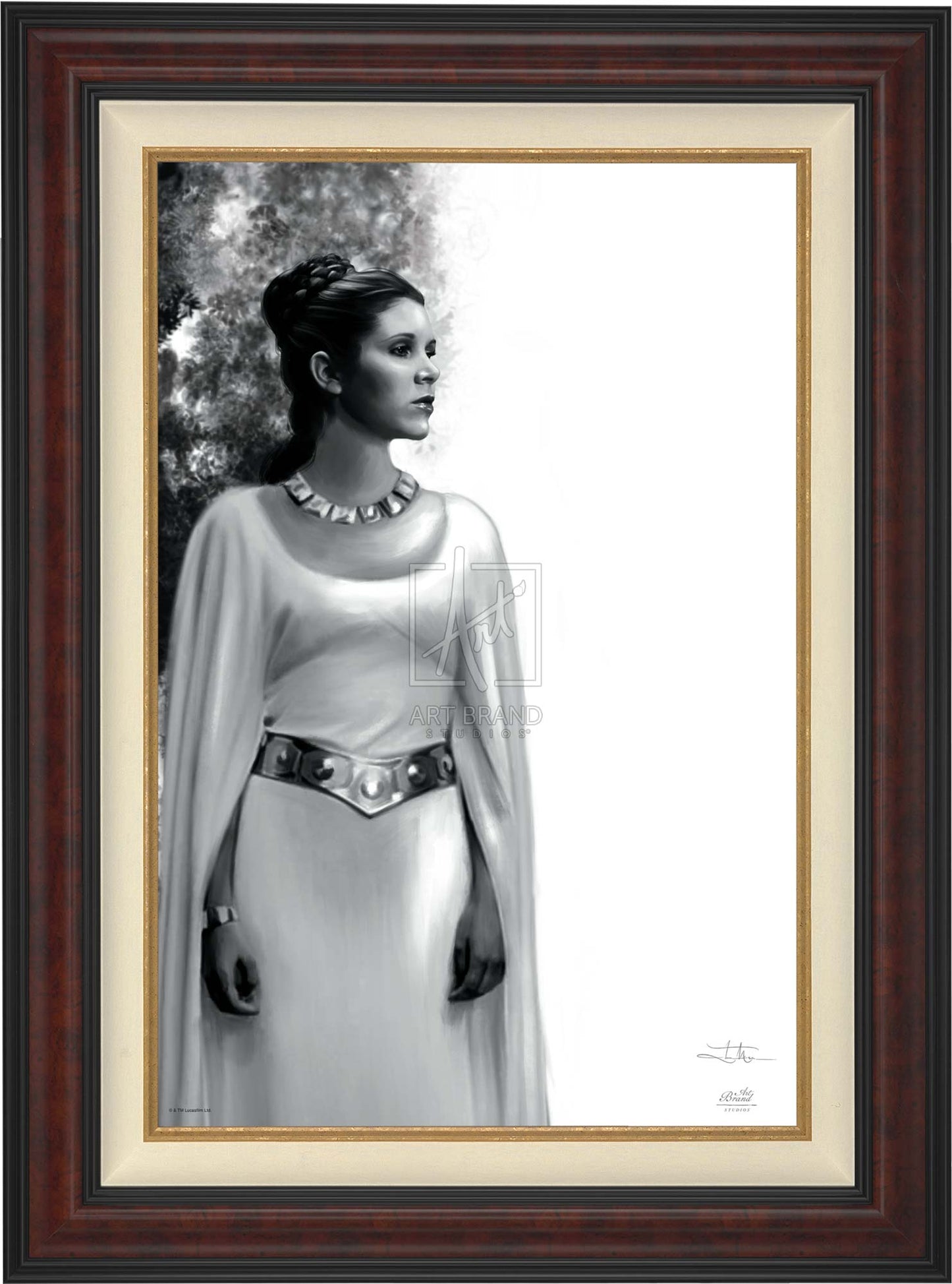 The Daughter - Star Wars: A New Hope™ - Limited Edition Canvas