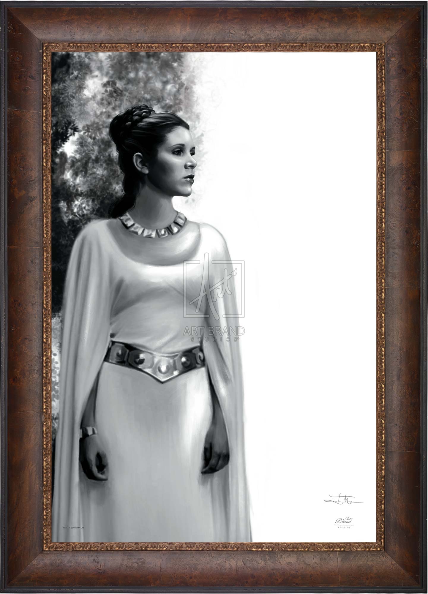 The Daughter - Star Wars: A New Hope™ - Jewel Edition