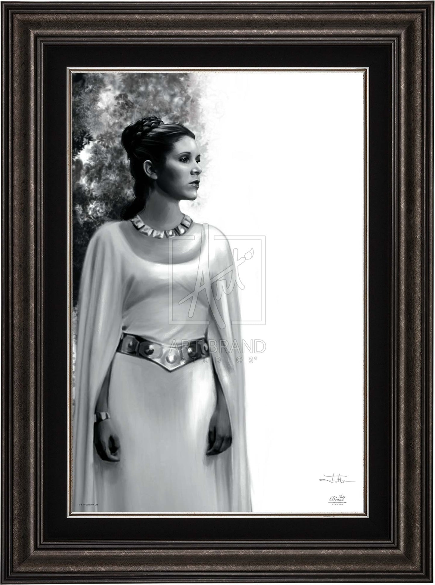 The Daughter - Star Wars: A New Hope™ - Limited Edition Canvas