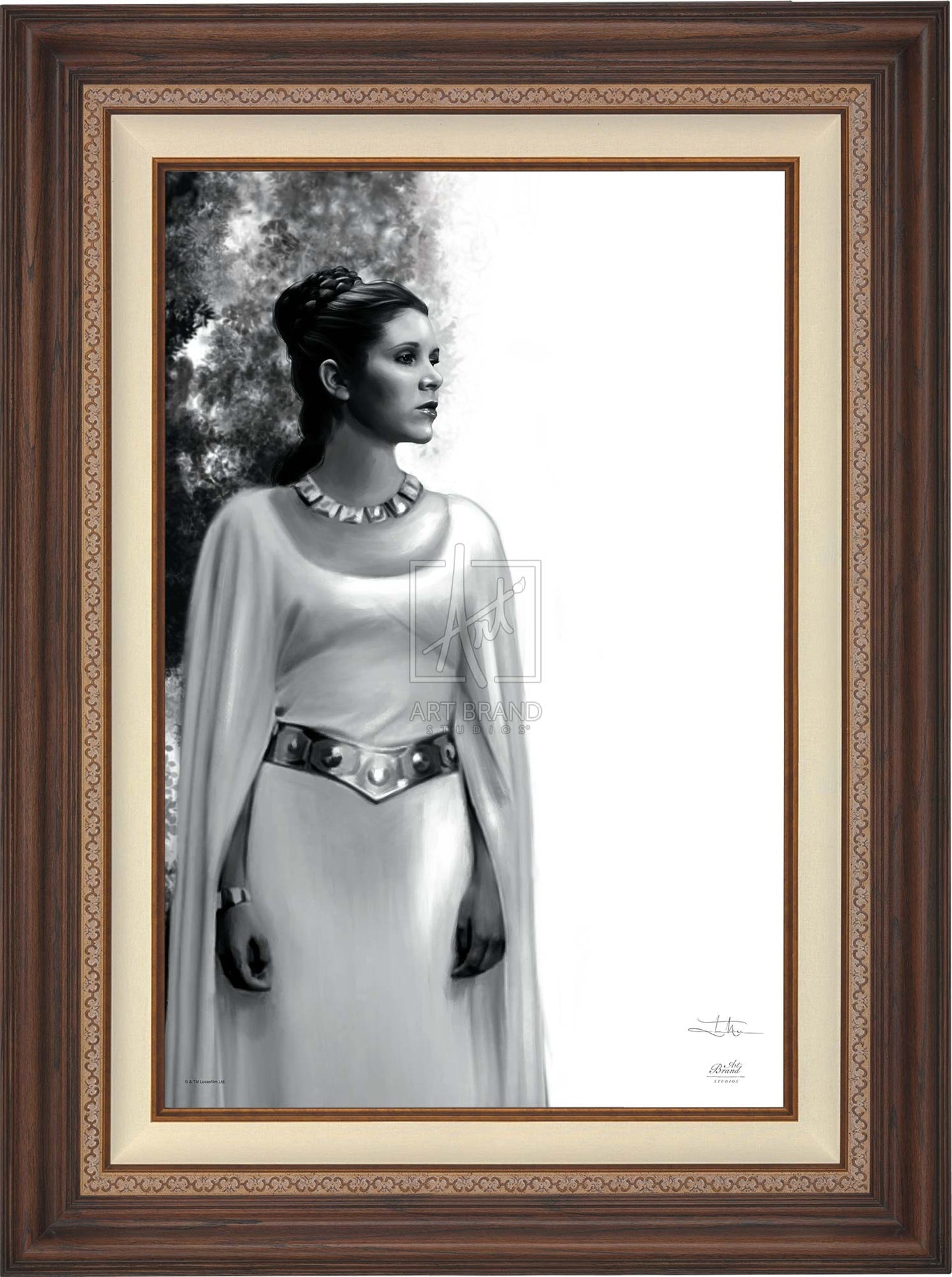 The Daughter - Star Wars: A New Hope™ - Limited Edition Canvas