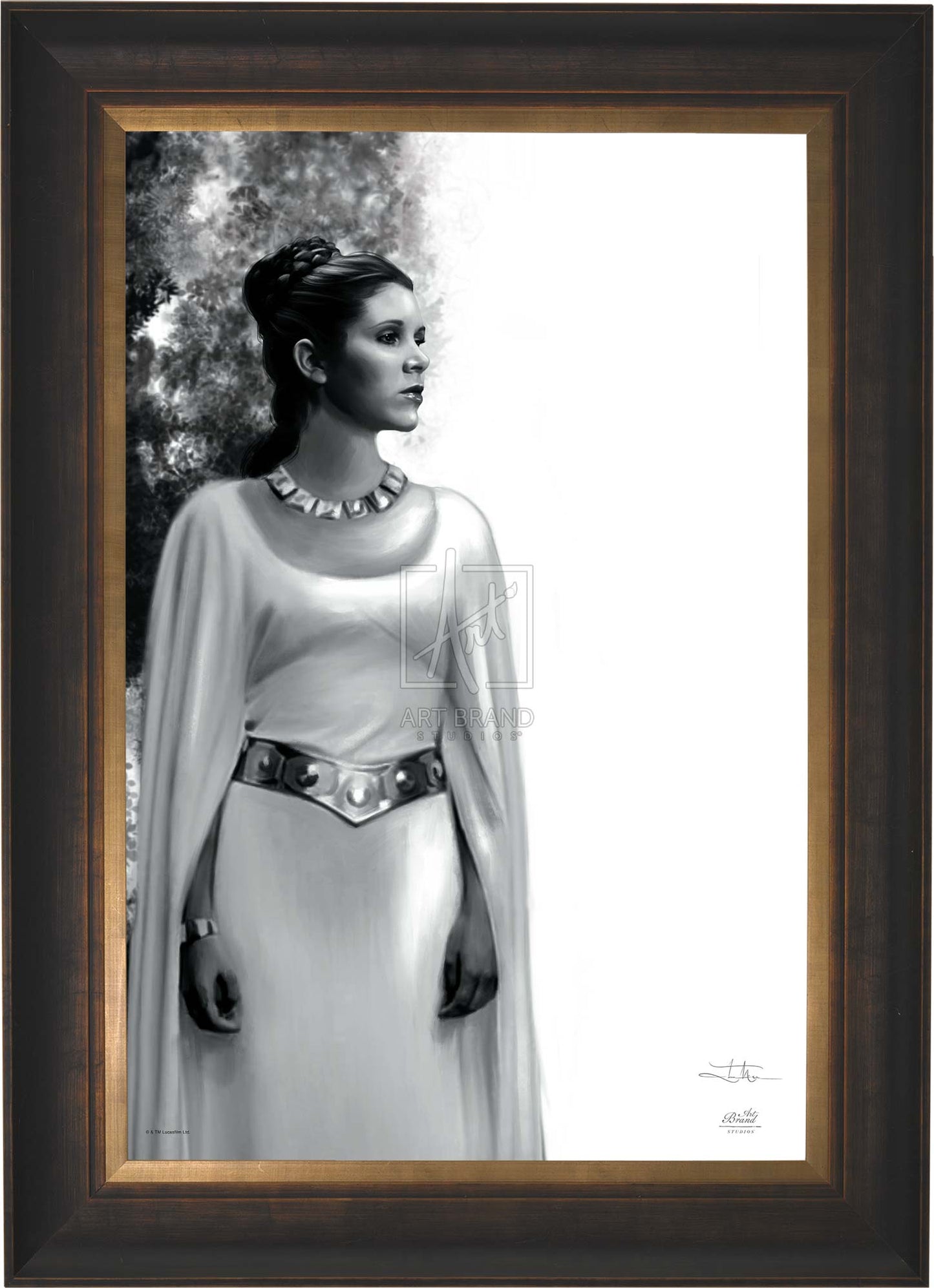 The Daughter - Star Wars: A New Hope™ - Limited Edition Canvas